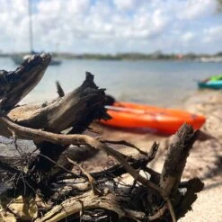 Pelican Sport Pulse 100X With Paddle Kayak 23 Pelican Sport Pulse 100X With Paddle Kayak -Pelican KOS10P102 00 LS4